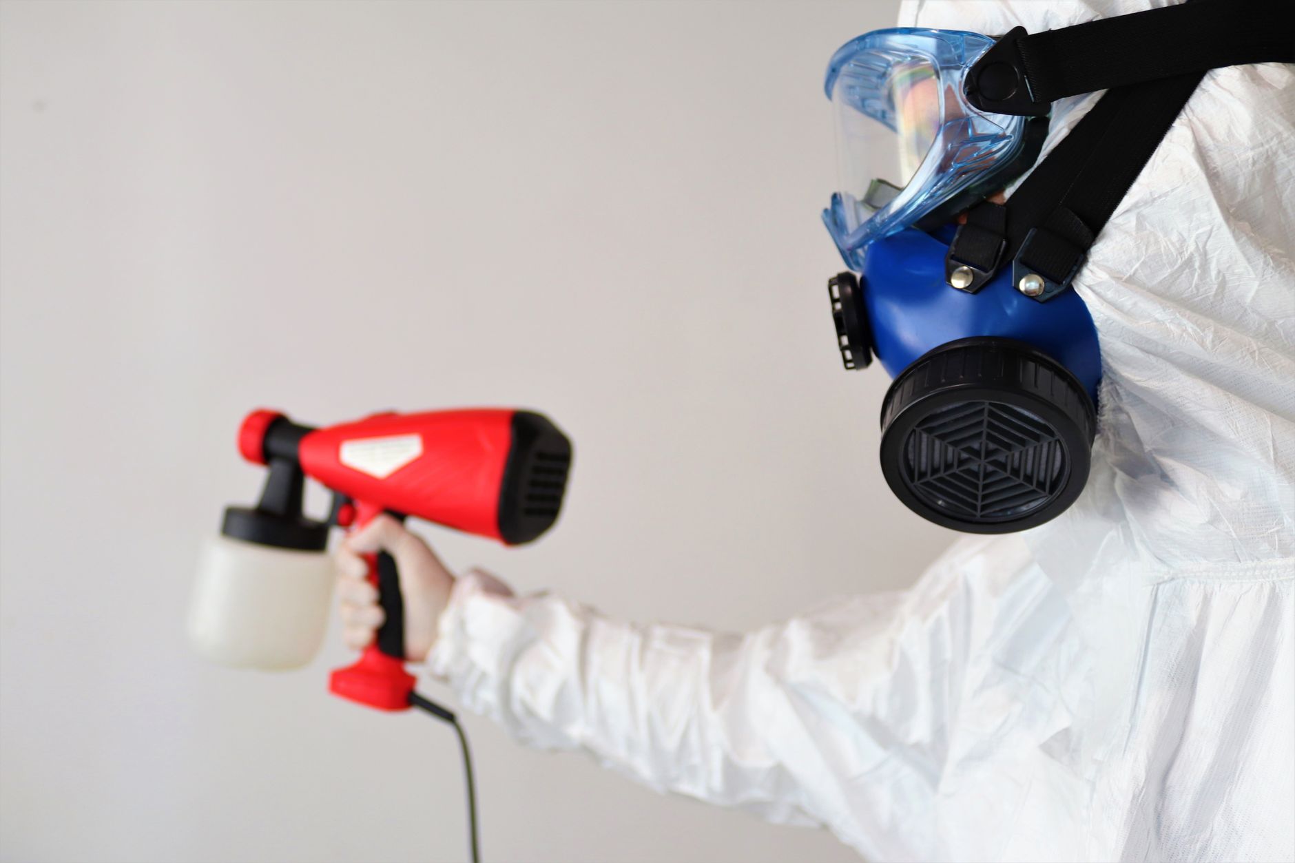 Fire Ant Treatment — Phillip's Pest Control