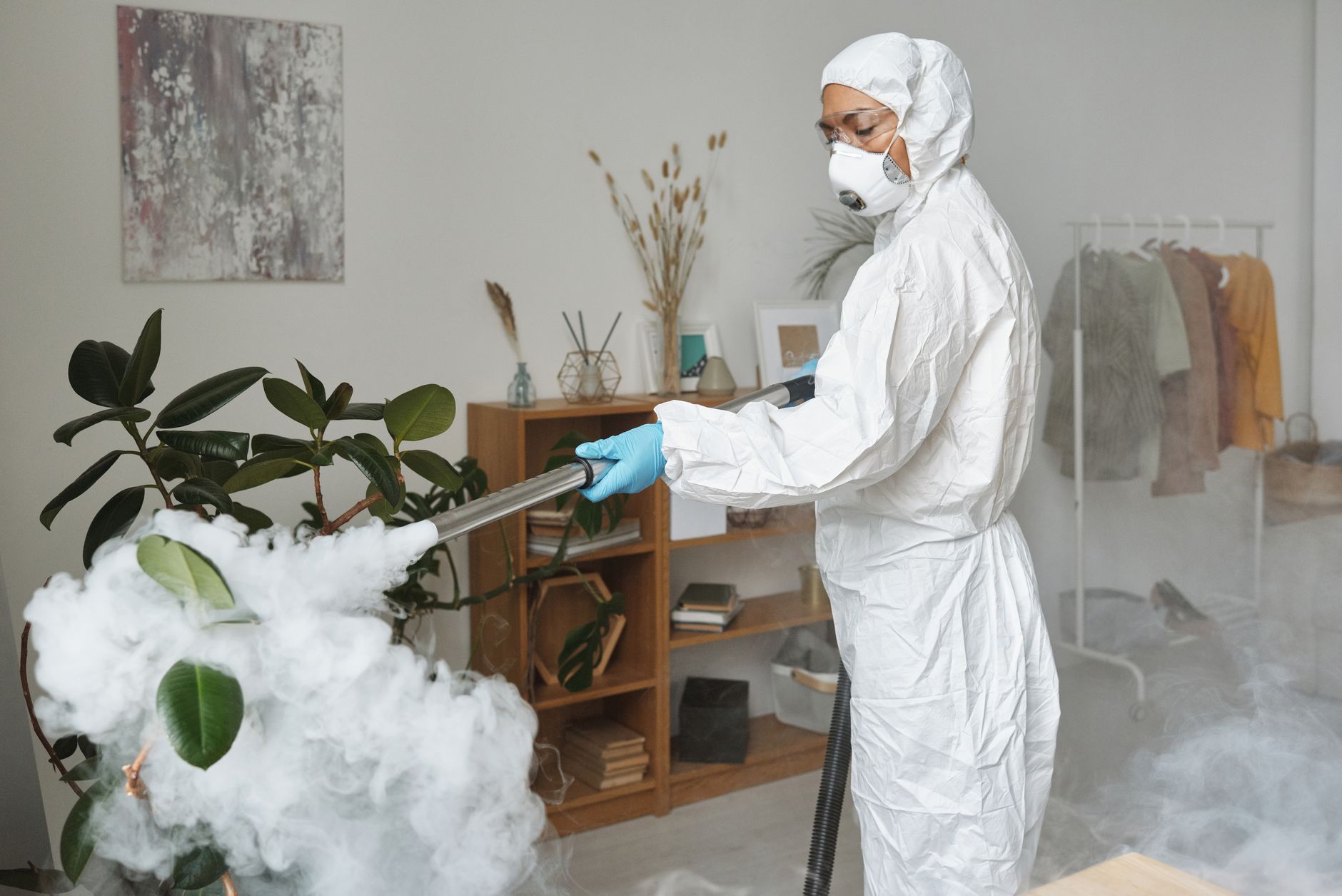 Termite & Wood-Boring Pest Control — Phillip's Pest Control