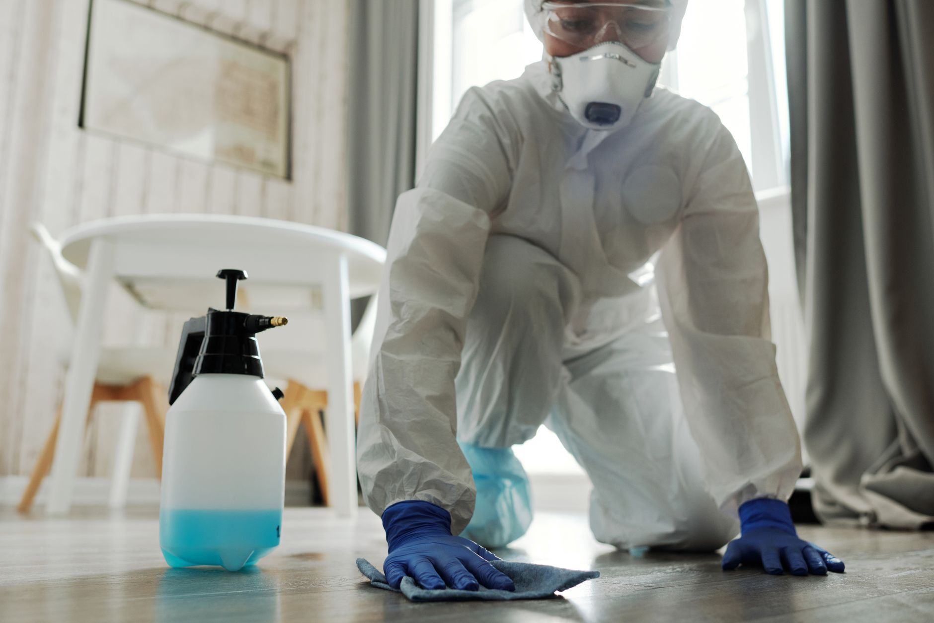General Pest Management — Phillip's Pest Control